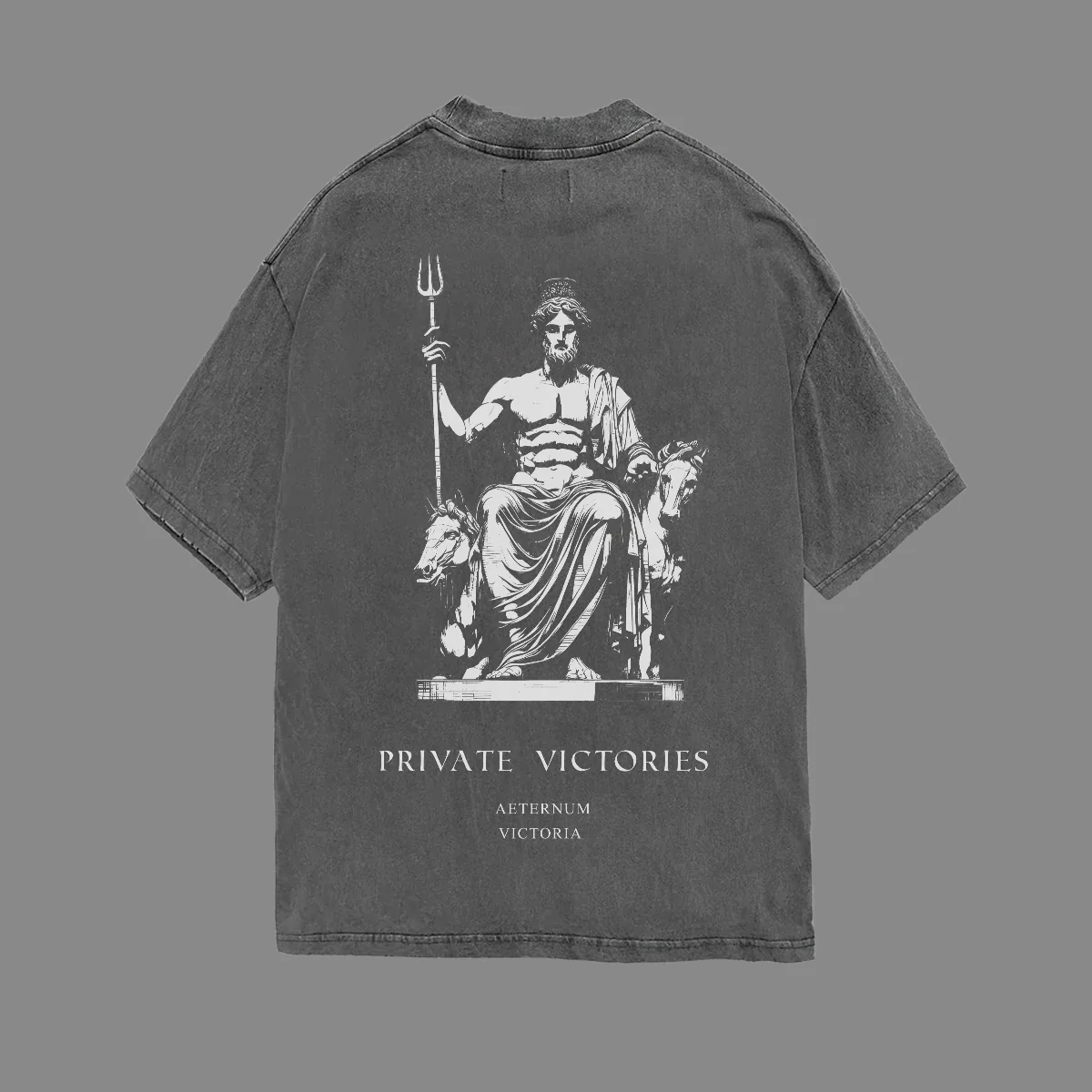 PRIVATE VICTORIES POSEIDON TEE - Image 2